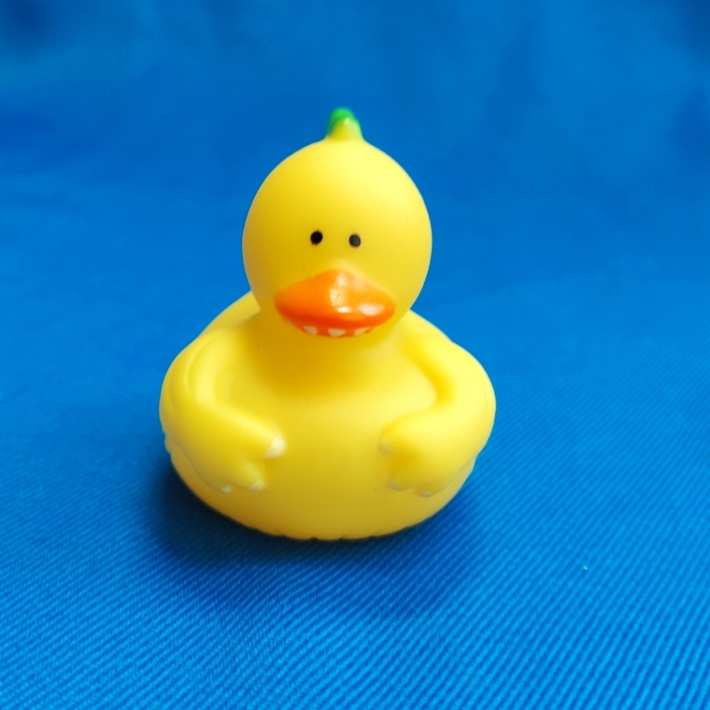 #30 Duck For Duck Duck Plushie Game
